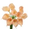 Angel Isabella Lot of 60 Pieces-Real Touch Keepsake Artificial Calla Lilies (Peach-Shell) view 1