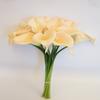 Angel Isabella Lot of 60 Pieces-Real Touch Keepsake Artificial Calla Lilies (Peach-Shell) view 2