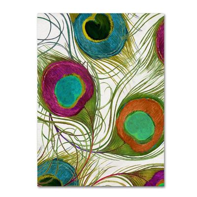 Trademark Fine Art ALI4254-C1824GG "Peacock Feathers II" Dcor, 18x24"