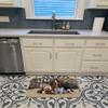 Caroline's Treasures BDBA0312RUG Basset Hound at The gate Floor Mat, 19" x 27", Multicolor view 3