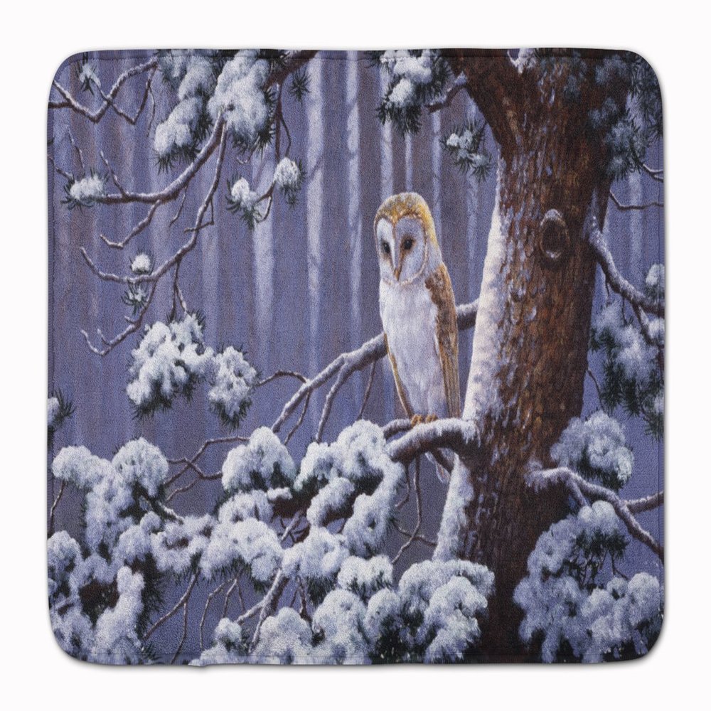 Caroline's Treasures BDBA0303RUG Owl on a Tree Branch in the Snow Machine Washable Memory Foam Mat, Bathroom Rug, Non-Slip Bath Mat, Durable Thick Washable Rugs for Kitchen, Bathroom Quick Dry, Decora