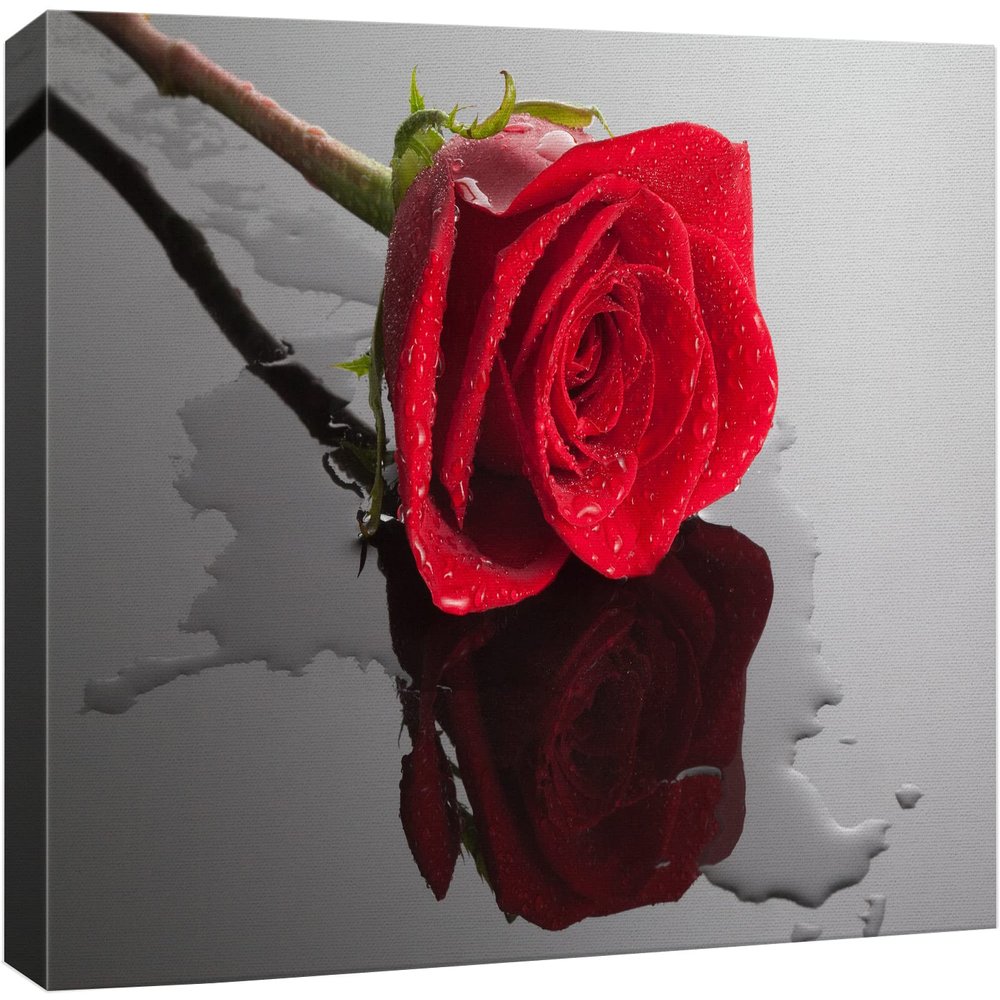 wall26 Canvas Print Wall Art Red Rose Close Up with Water Floral Botanical Photography Modern Art Rustic Scenic Relax/Calm Multicolor Dark for Living Room, Bedroom, Office - 24"x36"