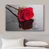 wall26 Canvas Print Wall Art Red Rose Close Up with Water Floral Botanical Photography Modern Art Rustic Scenic Relax/Calm Multicolor Dark for Living Room, Bedroom, Office - 24"x36" view 3