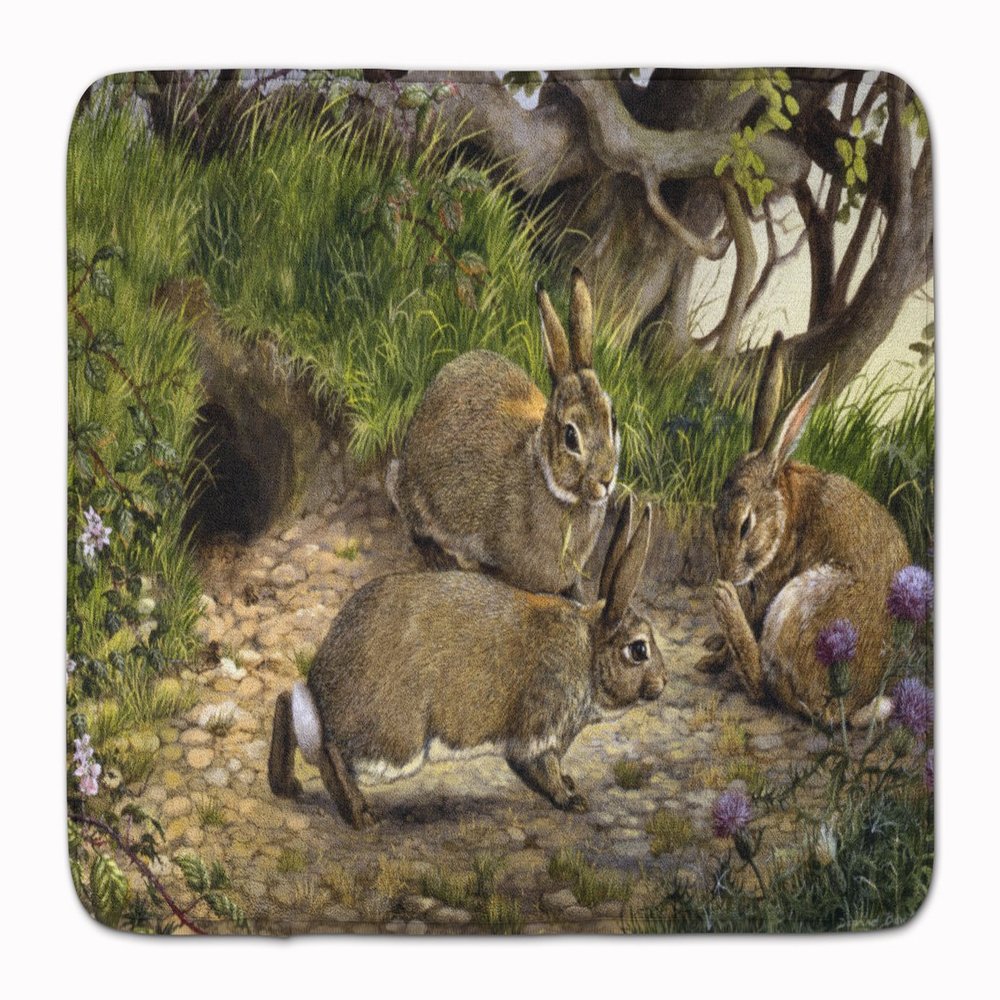 Caroline's Treasures BDBA0136RUG Rabbits and The Rabbit Hole Machine Washable Memory Foam Mat, Bathroom Rug, Non-Slip Bath Mat, Durable Thick Washable Rugs for Kitchen, Bathroom Quick Dry, Decorative