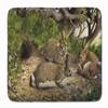 Caroline's Treasures BDBA0136RUG Rabbits and The Rabbit Hole Machine Washable Memory Foam Mat, Bathroom Rug, Non-Slip Bath Mat, Durable Thick Washable Rugs for Kitchen, Bathroom Quick Dry, Decorative view 1