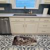 Caroline's Treasures BDBA0157RUG Wolf Wolves by the Den Machine Washable Memory Foam Mat, Bathroom Rug, Non-Slip Bath Mat, Durable Thick Washable Rugs for Kitchen, Bathroom Quick Dry, Decorative Artwo view 3