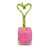 Athena's Garden Heart Shape Bamboo Plants Live Indoor Lucky Bamboo Stalk in Glass Vase and Pink Rock (BA-HS08SQ4PRL) view 1