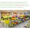 AHXHWKA 30 pcs Real-Touch Artificial Tulip Flowers Home Wedding Party Decor view 4
