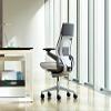 Steelcase Gesture Task Chair: Shell Back - Sterling Dark Solid Frame/Base/Merle Accent - Adjustable Lumbar Support - Roll Control Hard Floor Casters view 2
