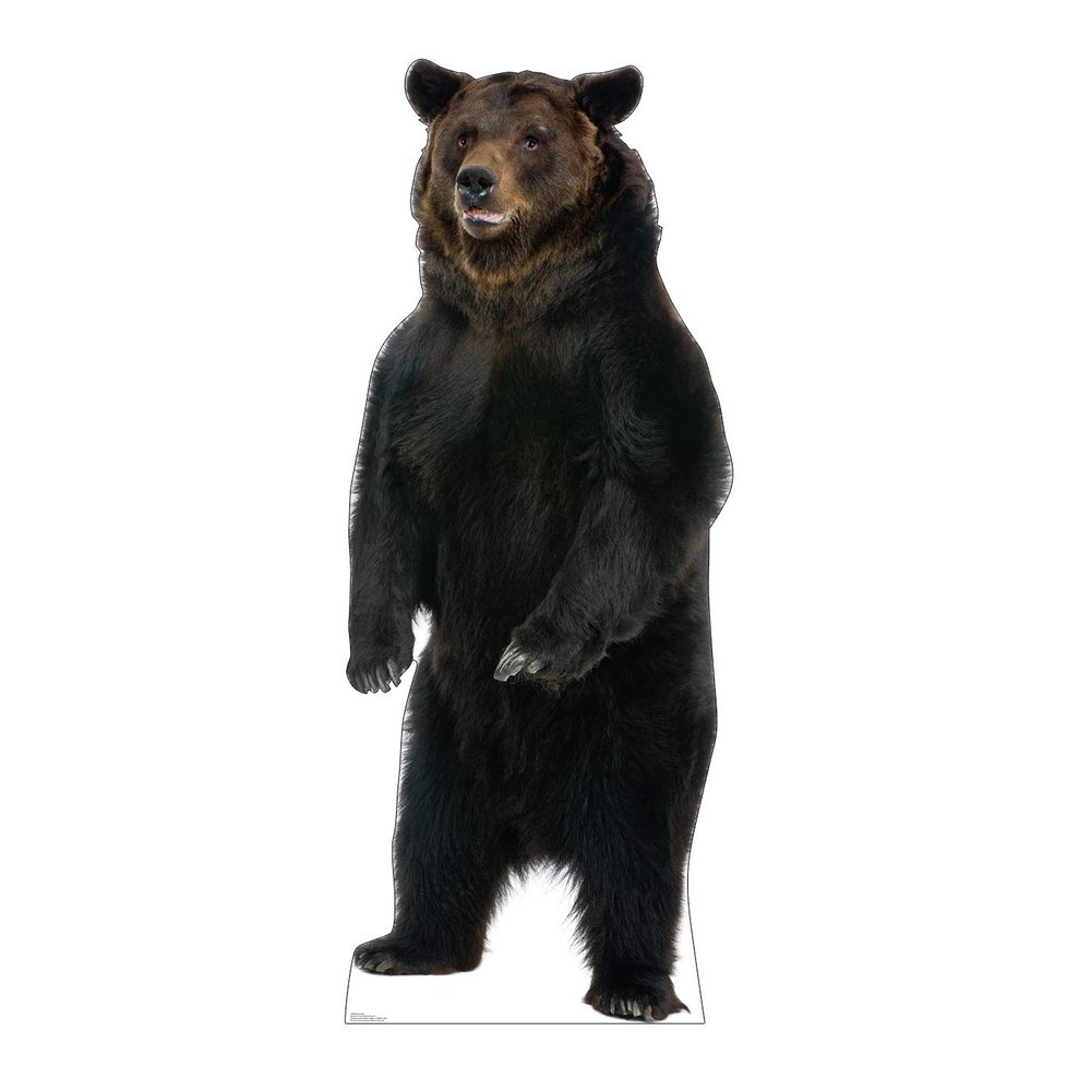 Cardboard People Brown Bear Life Size Cardboard Cutout Standup