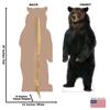 Cardboard People Brown Bear Life Size Cardboard Cutout Standup view 2
