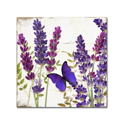 Lavender I by Color Bakery, 18x18-Inch Canvas Wall Art