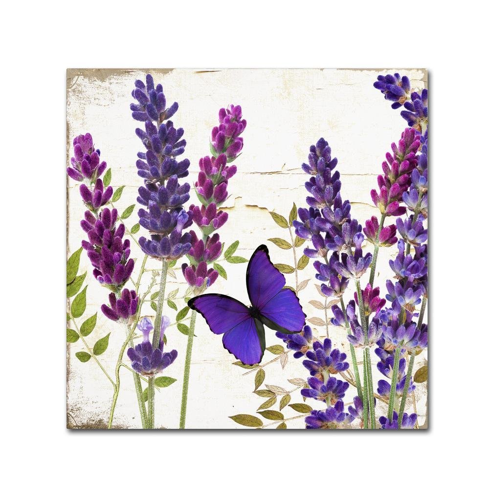 Lavender I by Color Bakery, 18x18-Inch Canvas Wall Art