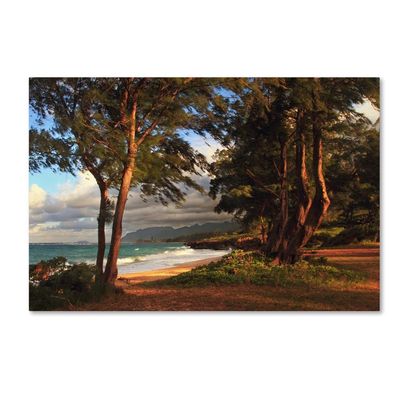 Hawaii 5 by Jason Shaffer, 16x24-Inch Canvas Wall Art