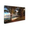 Hawaii 5 by Jason Shaffer, 16x24-Inch Canvas Wall Art view 2