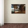 Hawaii 5 by Jason Shaffer, 16x24-Inch Canvas Wall Art view 3