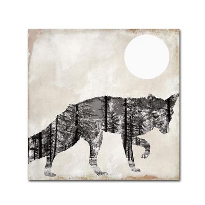 Going Wild VII by Color Bakery, 18x18-Inch Canvas Wall Art