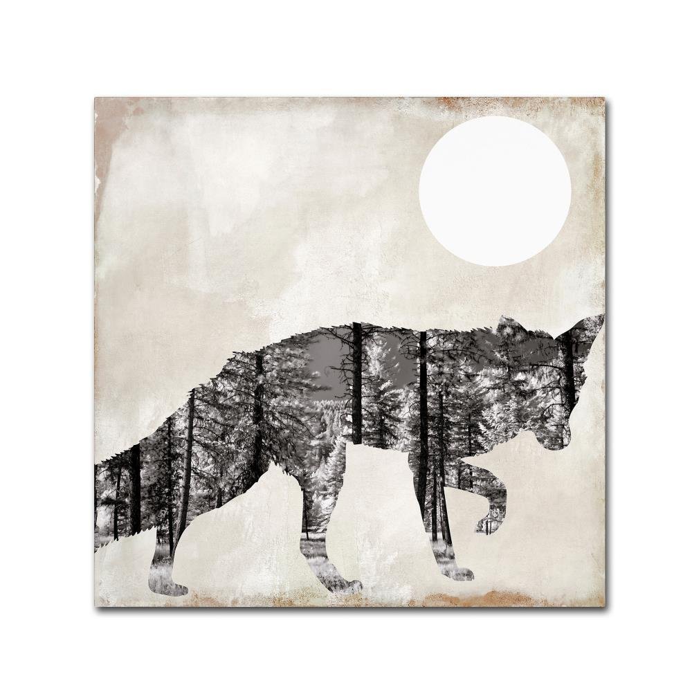 Going Wild VII by Color Bakery, 18x18-Inch Canvas Wall Art