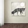 Going Wild VII by Color Bakery, 18x18-Inch Canvas Wall Art view 3