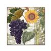 Dolcetto I by Color Bakery, 18x18-Inch Canvas Wall Art view 1