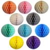 10 Pack Assorted Color 5 Inch Honeycomb Tissue Paper Party Balls (Pastel) view 1