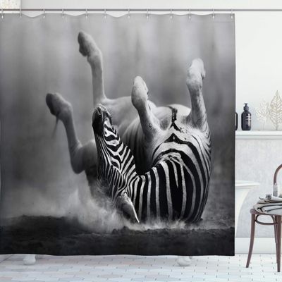 Ambesonne Africa Shower Curtain, Zebra Rolling in The Dust Savage Animal Mammal Activity Eco Photo, Cloth Fabric Bathroom Decor Set with Hooks, 69" W x 75" L, Black and White