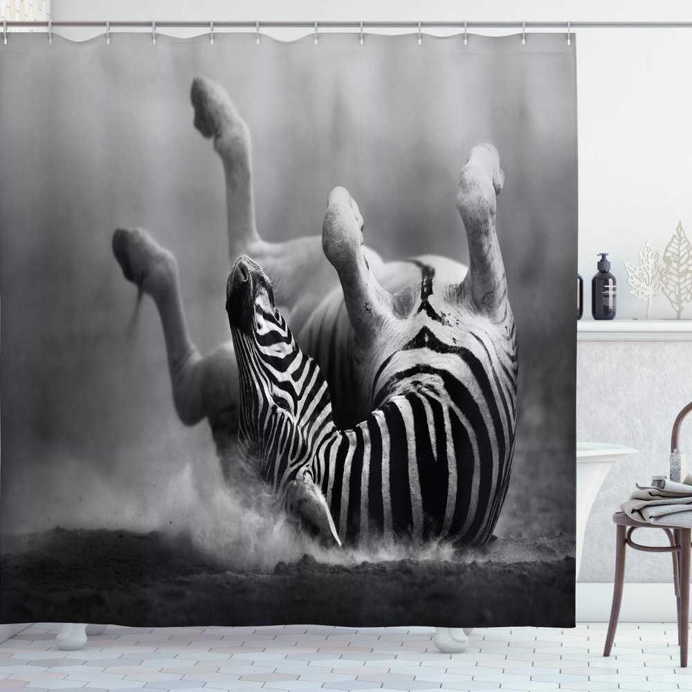 Ambesonne Africa Shower Curtain, Zebra Rolling in The Dust Savage Animal Mammal Activity Eco Photo, Cloth Fabric Bathroom Decor Set with Hooks, 69" W x 75" L, Black and White