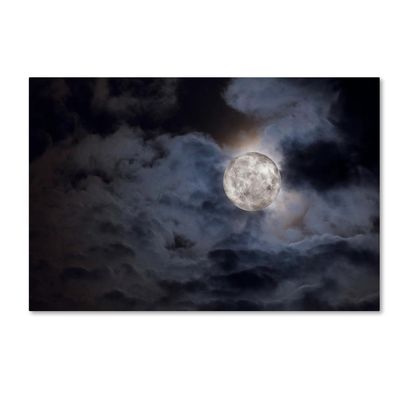 Supermoon by Jason Shaffer, 16x24-Inch Canvas Wall Art