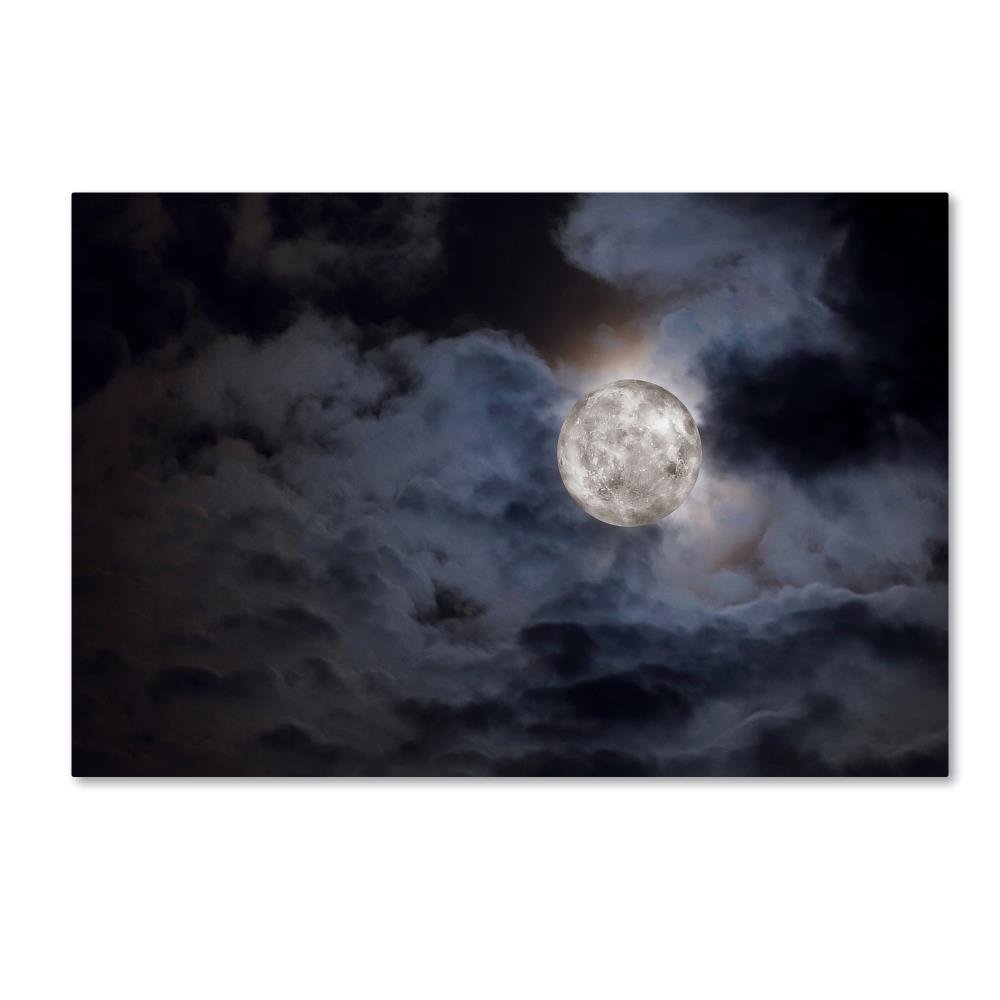 Supermoon by Jason Shaffer, 16x24-Inch Canvas Wall Art