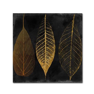 Fallen Gold Ornate Frame I by Color Bakery, 18x18-Inch Canvas Wall Art