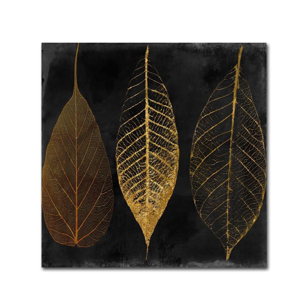 Fallen Gold Ornate Frame I by Color Bakery, 18x18-Inch Canvas Wall Art