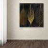 Fallen Gold Ornate Frame I by Color Bakery, 18x18-Inch Canvas Wall Art view 3