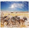 Ambesonne Africa Shower Curtain, Zebras in Savannah Desert Waterhole on Hot Day Africa Savannah Adventure Land Print, Cloth Fabric Bathroom Decor Set with Hooks, 69" W x 84" L, Sky Blue Off White Ecru view 2