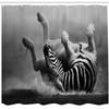 Ambesonne Africa Shower Curtain, Zebra Rolling in The Dust Savage Animal Mammal Activity Eco Photo, Cloth Fabric Bathroom Decor Set with Hooks, 69" W x 84" L, Black and White view 2