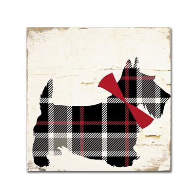 Scotty II by Color Bakery, 18x18-Inch Canvas Wall Art