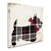 Scotty II by Color Bakery, 18x18-Inch Canvas Wall Art view 2
