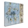 Blue Crab II by Color Bakery, 18x18-Inch Canvas Wall Art view 2