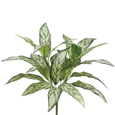 SilksAreForever 24" Aglaonema Silver Queen Silk Plant -2 Tone Green (Pack of 12)