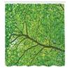 Ambesonne Forest Shower Curtain, Life Symbolized in Part of a Tree Branch High Birch Spring Leaves Design Artwork Print, Cloth Fabric Bathroom Decor Set with Hooks, 69" W x 70" L, Green view 2