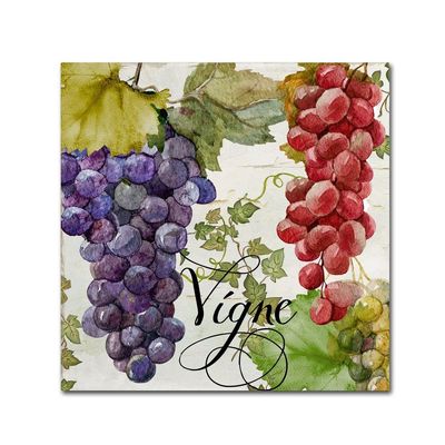 Wines of Paris I by Color Bakery, 18x18-Inch Canvas Wall Art