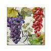 Wines of Paris I by Color Bakery, 18x18-Inch Canvas Wall Art view 1
