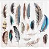 Ambesonne Feathers Shower Curtain, Western Feather Setting Pigmented Bird Body Parts Growth Nature Design, Cloth Fabric Bathroom Decor Set with Hooks, 69" W x 75" L, White Soft Blue Ecru view 2
