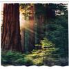 Ambesonne National Parks Shower Curtain, Morning Sunlight in Wilderness Yosemite Sierra Nevada United States Nature, Cloth Fabric Bathroom Decor Set with Hooks, 69" W x 75" L, Green Dark Brown view 2