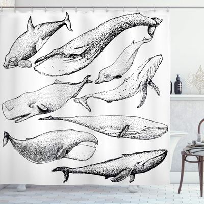 Ambesonne Whale Shower Curtain, Hand Drawn Black and White Whales from Single Type Small and Big Image, Cloth Fabric Bathroom Decor Set with Hooks, 69" W x 84" L, White Charcoal Grey