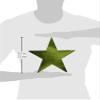 Star Cutouts | Kiwi Green | 9"| Pack of 5 | Party Decor view 2