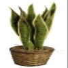 Wald Imports 7" Rattan Pot Cover Basket, Brown view 2
