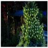 Cole & Bright 6741-100Count Solar LED String Lights view 1