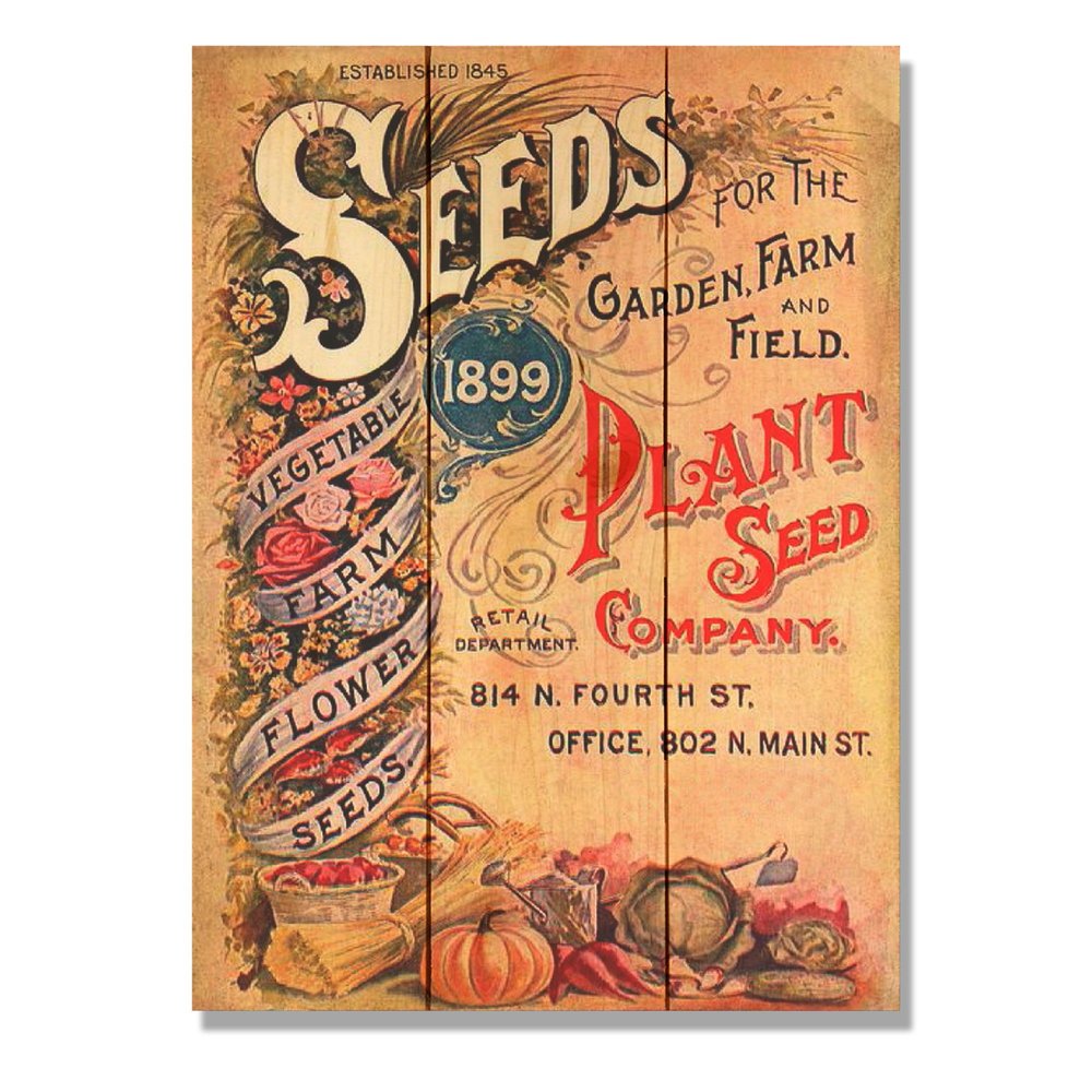 Wile E. Wood Seeds 11x15 Wall Art