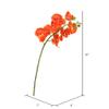 Vickerman FA172203 Everyday Orchid Stem view 3