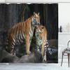 Ambesonne Animal Shower Curtain, Tiger Couple in The Jungle on Big Rocks Image Wild Cats in Nature Image Print, Cloth Fabric Bathroom Decor Set with Hooks, 69" W x 84" L, Grey and Ginger view 1